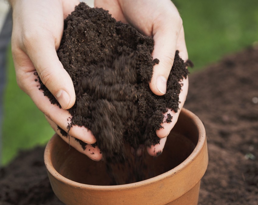 Soil Preparation Is Vital To Success