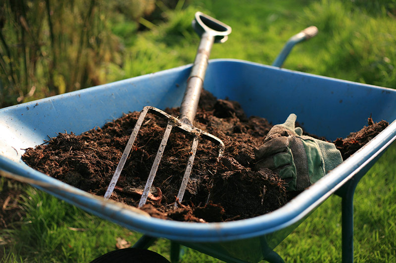 Preparing Your Native Soil For Spring