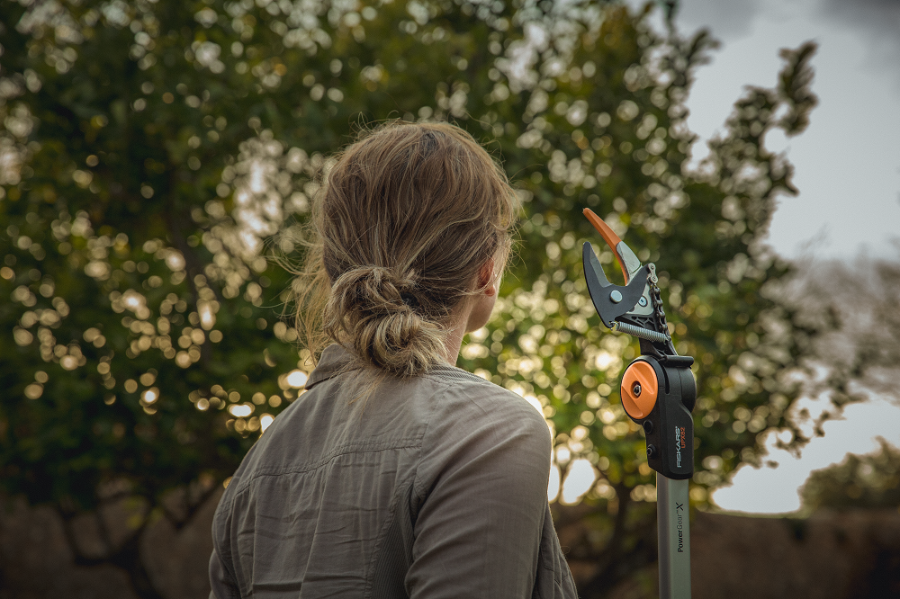 Reaching New Heights With Fiskars