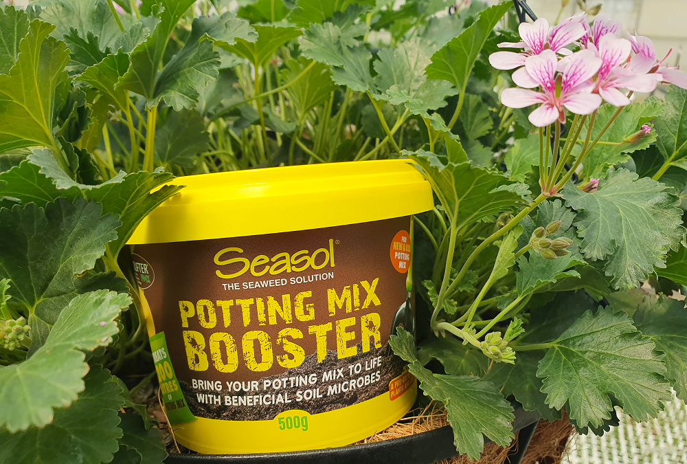 Bring Your Potting Mix To LIFE